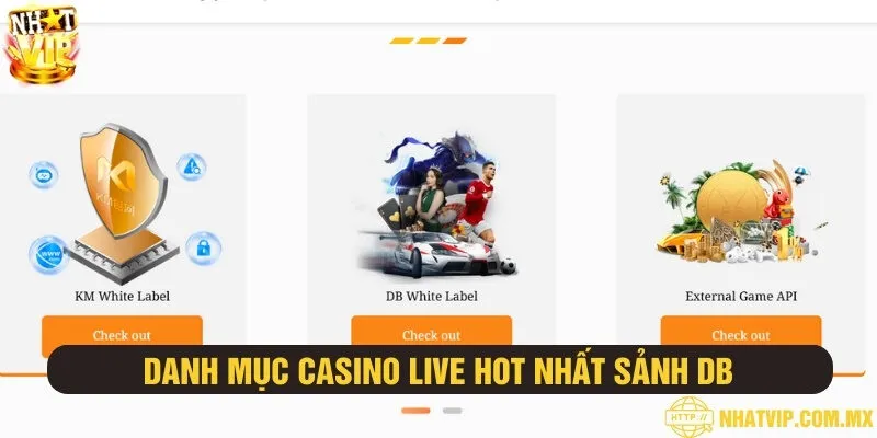 Khám phá danh mục giải trí siêu chất đến từ Casino DB