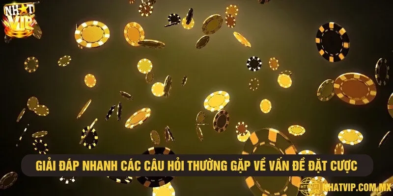 Những câu hỏi liên quan đến vấn đề cược