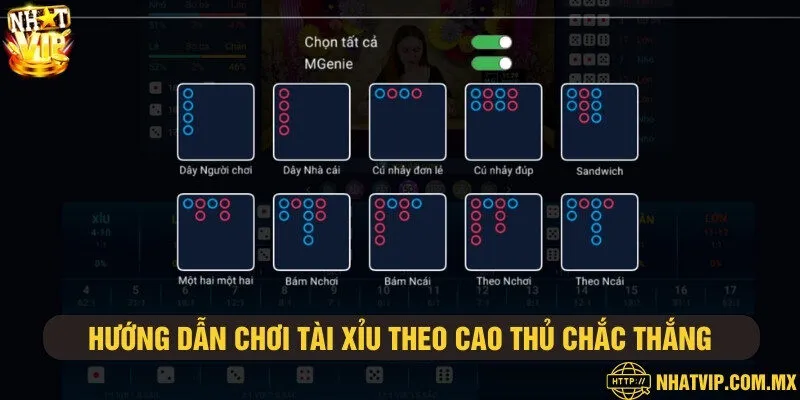 Chia sẻ mẹo bắt cầu đặt cược tài xỉu thắng lớn siêu chuẩn