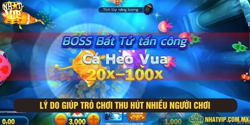 Những lý do khiến trò chơi thu hút nhiều người tham gia săn bắn đại dương