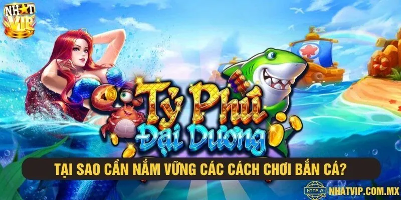 Lý do nên tìm hiểu về những cách chơi bắn cá