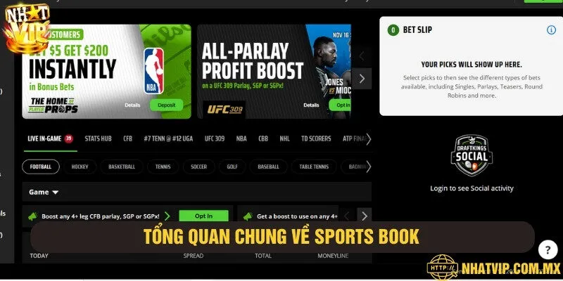 Sports Book mở ra thời đại cá cược thể thao mới, trẻ trung